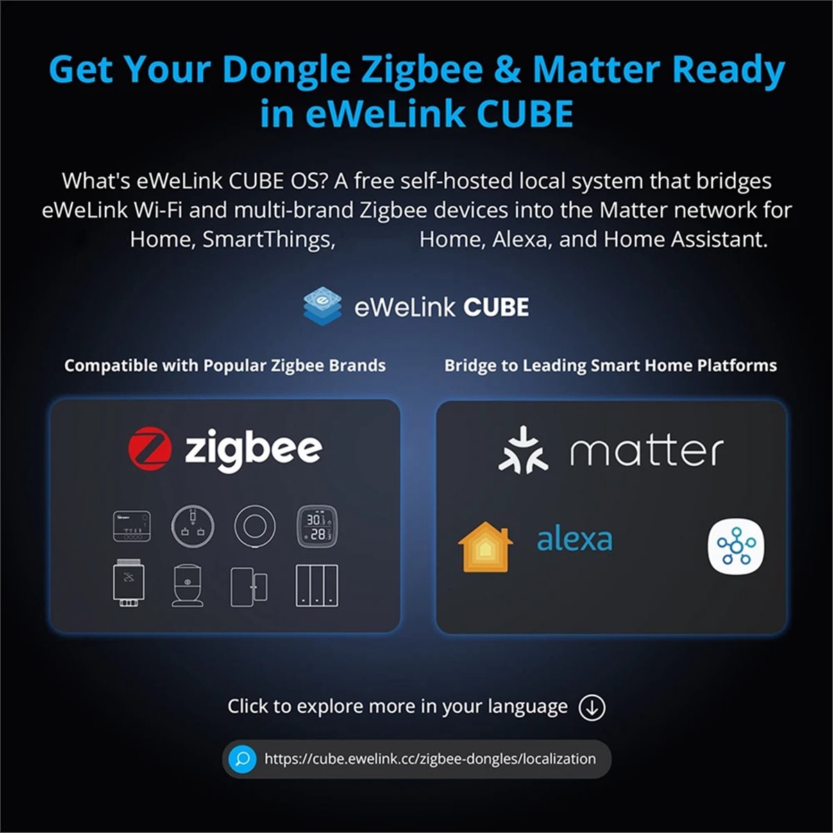 Dongle Plus MG24 Zigbee Thread - đánh giá và giá Smart Home Plus